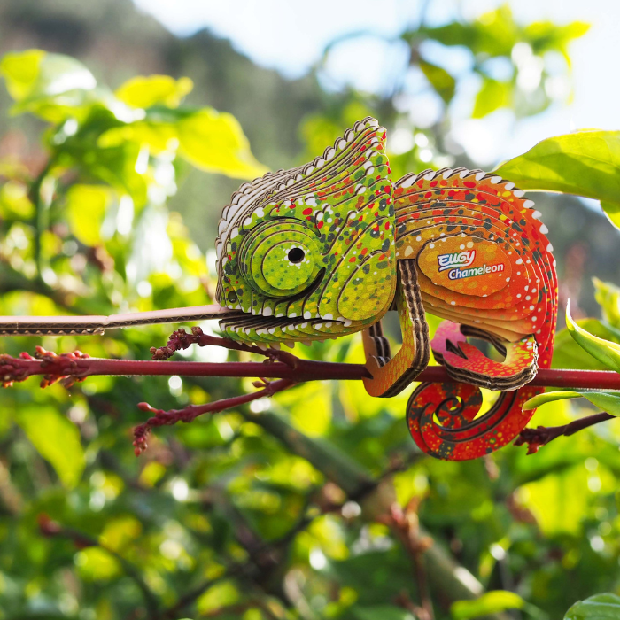 EUGY 75 Chameleon