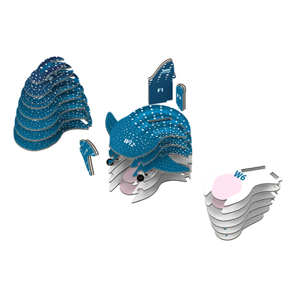 EUGY 49 Whale Shark