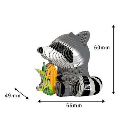 EUGY 103 Raccoons