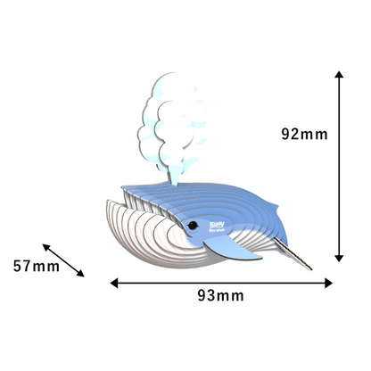 EUGY 66 Blue whale