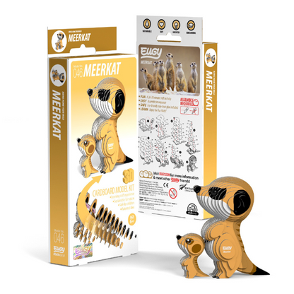 EUGY 46 Meerkat