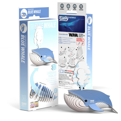 EUGY 66 Blue whale