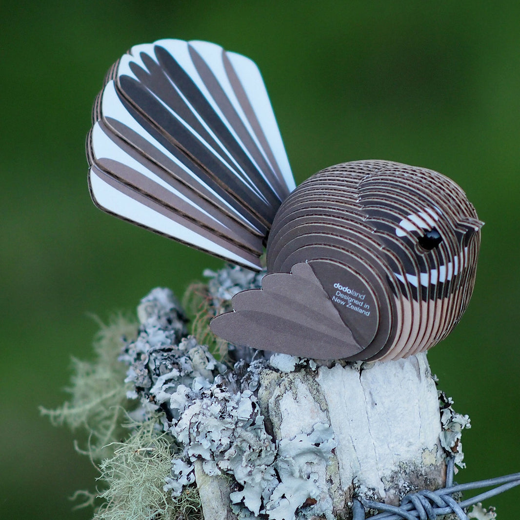 EUGY 02 Eurasian Flycatcher