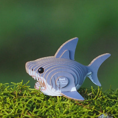 EUGY 19 Shark
