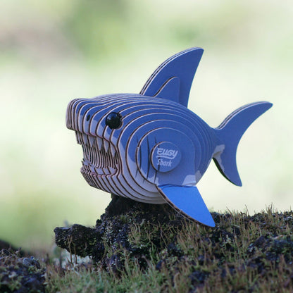 EUGY 19 Shark