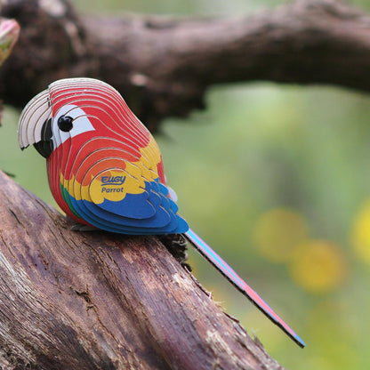 EUGY 23 Macaw