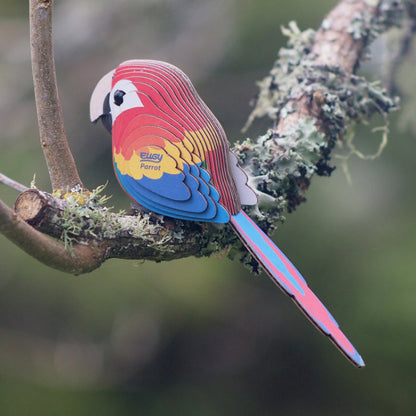 EUGY 23 Macaw
