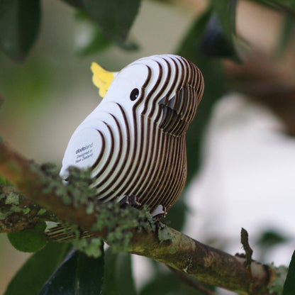 EUGY 28 Parrot