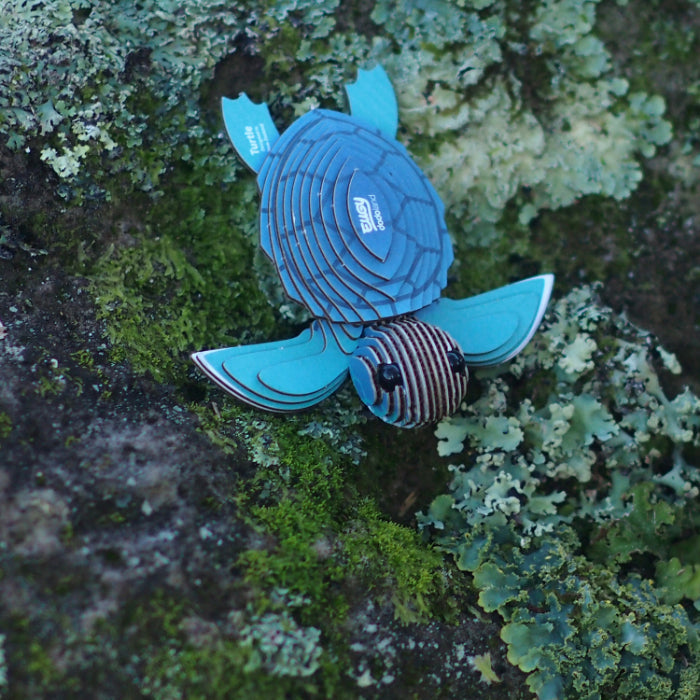 EUGY 38 Turtle