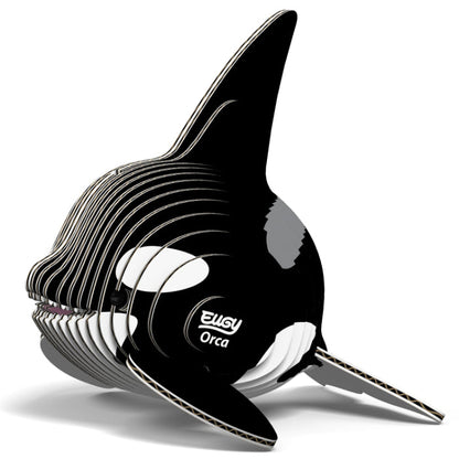 EUGY 20 Orca