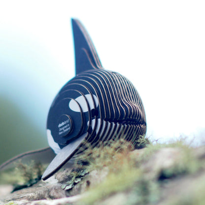 EUGY 20 Orca