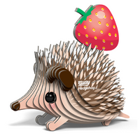 EUGY 26 hedgehog