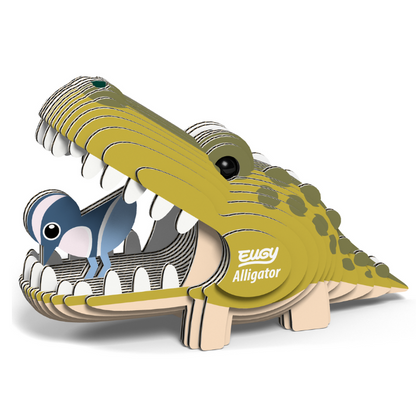 EUGY 43 Alligator