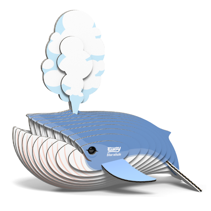 EUGY 66 Blue whale