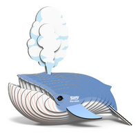 EUGY 66 Blue whale