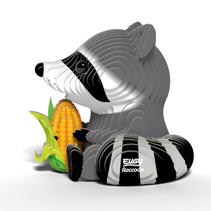 EUGY 103 Raccoons