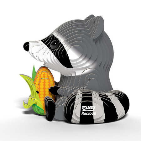 EUGY 103 Raccoons
