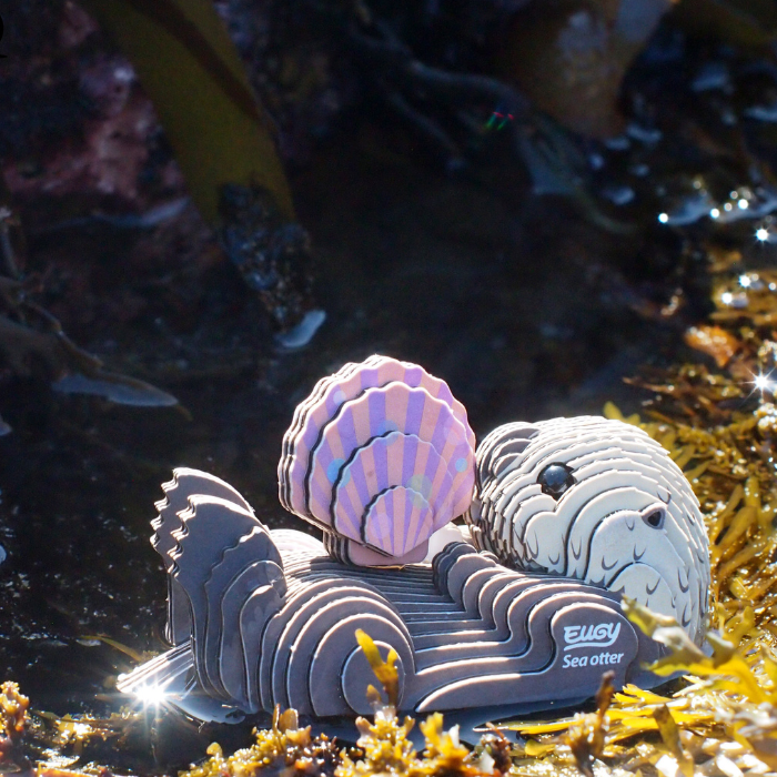 EUGY 60 Otters