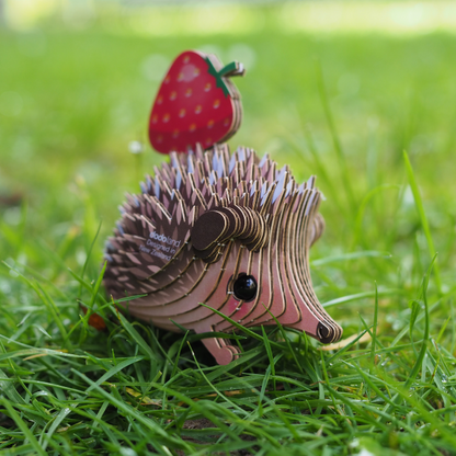 EUGY 26 hedgehog