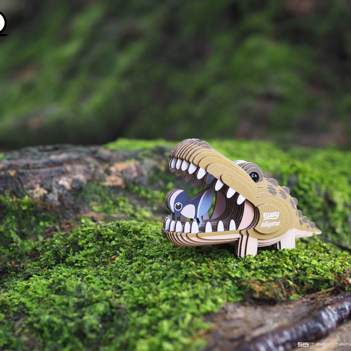 EUGY 43 Alligator
