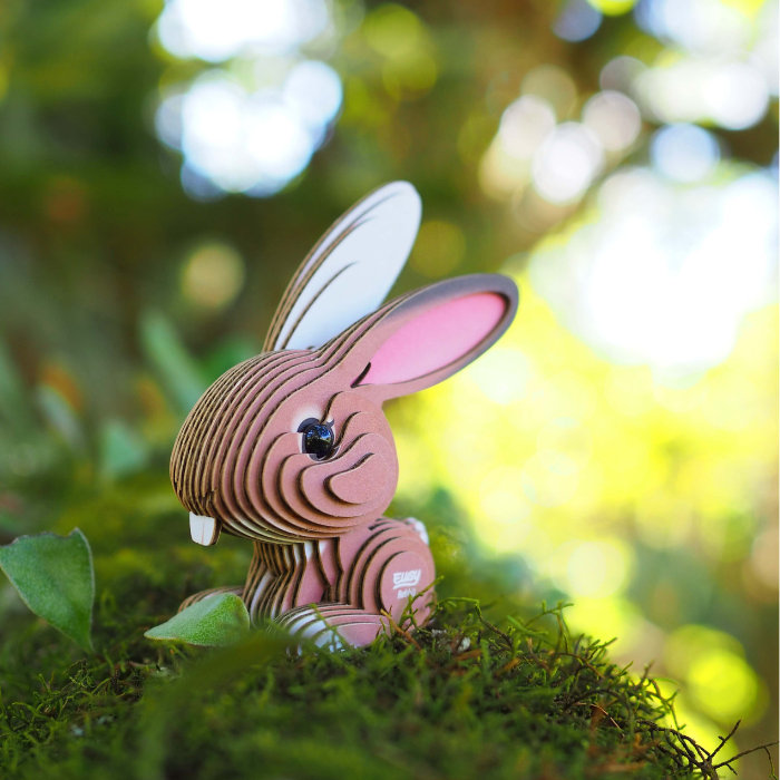 EUGY 71 Rabbit