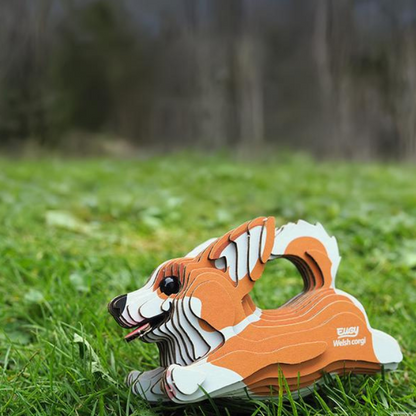 EUGY 80 Corgi